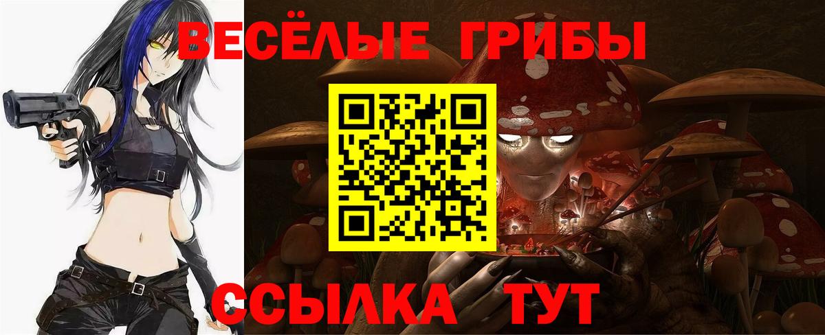 Георгиевск  Псилоцибиновые грибы Cubensis  Вход с VPN 