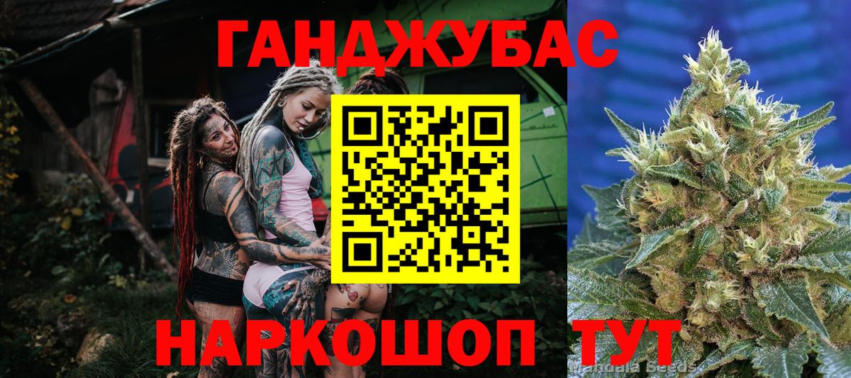 Шишки марихуана планчик Георгиевск